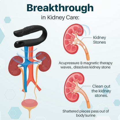 Oveallgo™ Magnetic Kidney Care Clip