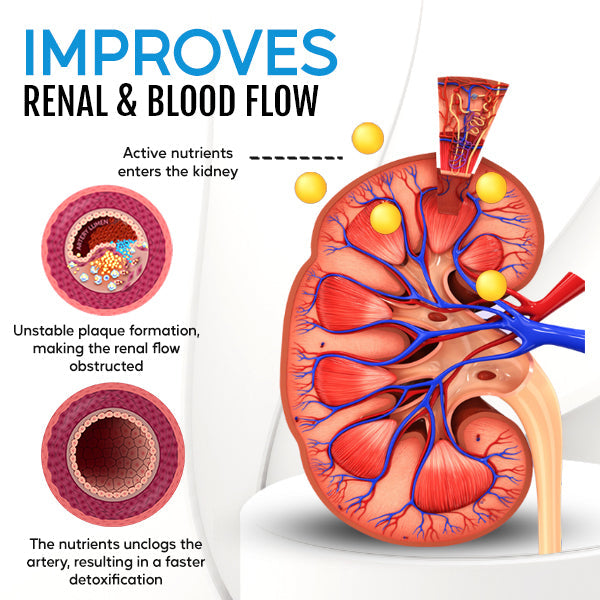 Oveallgo™ Kidney Boost & Care Inhaler